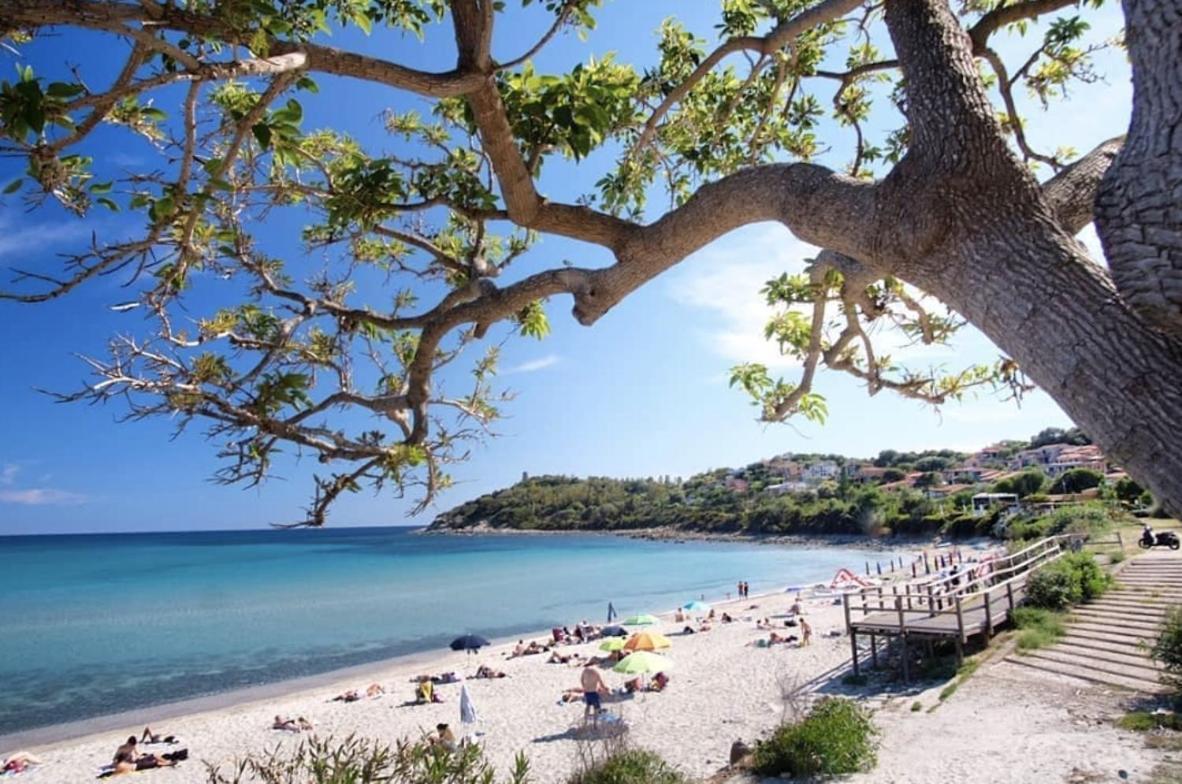 Appartamenti Gaimaro' A 50 M Dalla Spiaggia Àrbatax Eksteriør billede